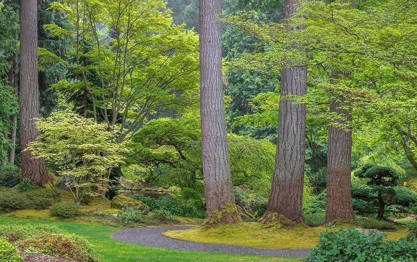 Washington State-Bainbridge Island Garden path composite panoramic